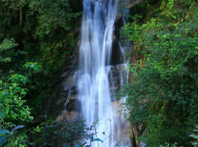 韶关-南岭国家森林公园