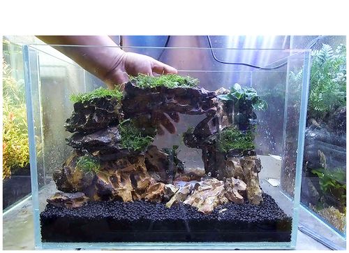 鱼缸造景松皮石天然原石假山石大小块多孔石头水族箱