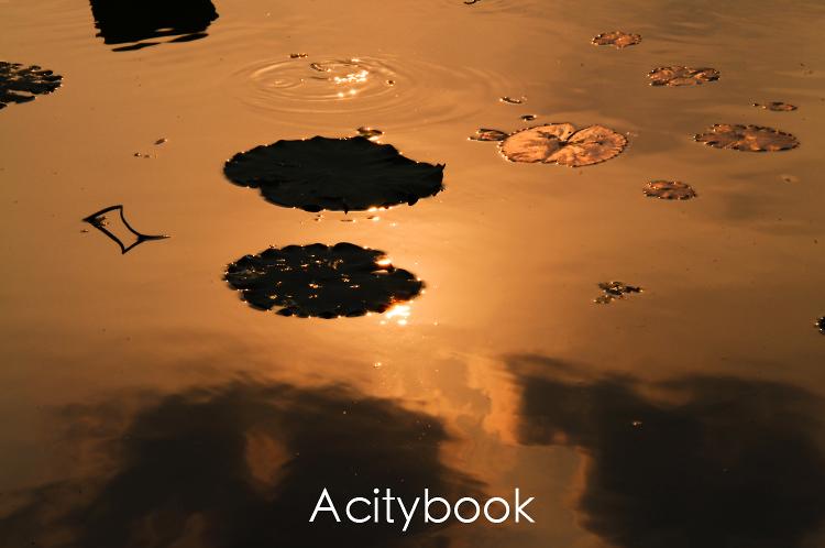 jpg _zfg7764_4094.jpg _zfg7789_4108.jpg _zfg7791_4110.