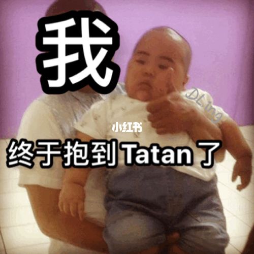 tatan可爱动图表情包_表情包_表情包分享_素材_表情包