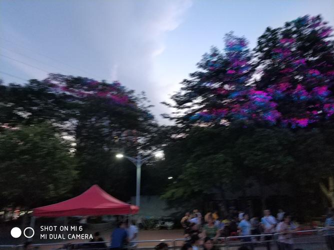 东晓公园演出节目《兄弟情》演唱者:王如华(罗湖区音乐家协会,深圳市