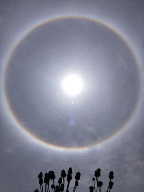 小城天空再现彩虹光圈,你看到了吗?