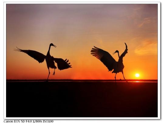 首页 教程 摄影教程 摄影技巧 摄影创作中必不可少的构图法则   均衡