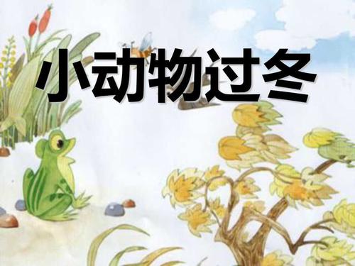 《小动物过冬》ppt课件3