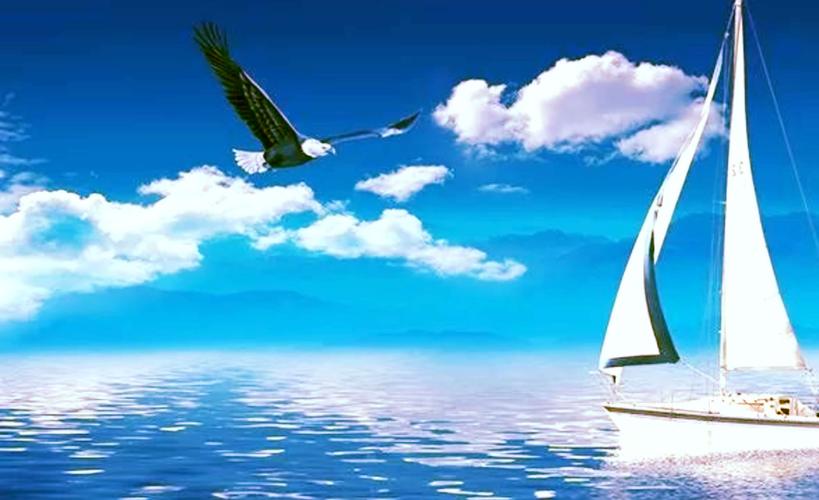 实践启航 扬帆名师工作室(a班四组)