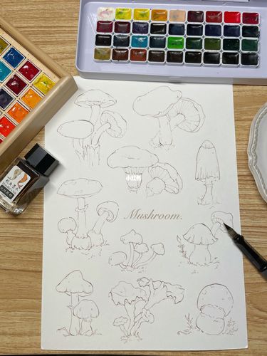 水彩|植物集·小蘑菇们96 (附线稿)_水彩_蘑菇_钢笔