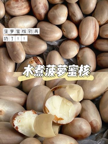 菠萝蜜核别扔75水煮后犹如菱角般粉糯鲜嫩97_菠萝