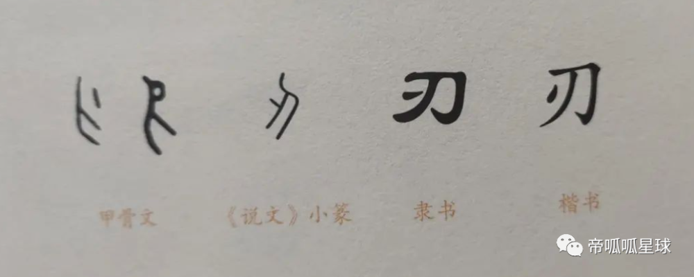 所以 指事字,就是在象形字上加个小标签,指明你想表达的东西是什么.