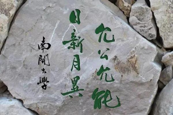 日新月异"是 a href="#" data-lemmaid="134521">南开大学 /a>, a