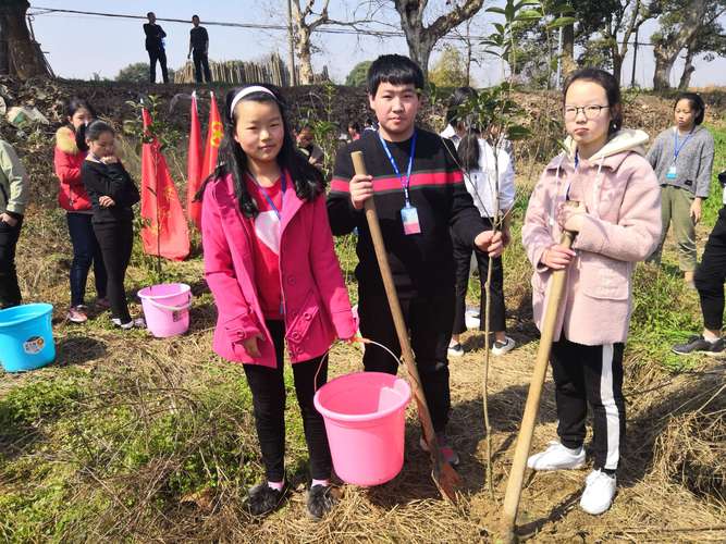 "贡献力量,奉献绿色,收获希望"——龙光桥学校植树节主题活动.