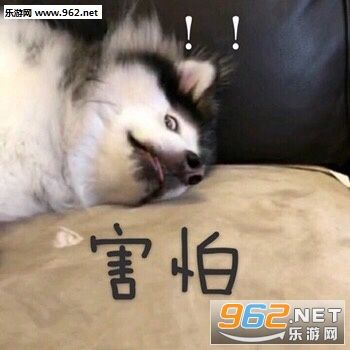 确认过眼神是不想理的人表情包