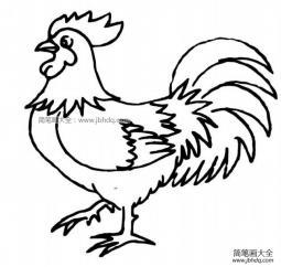 鸡的简笔画