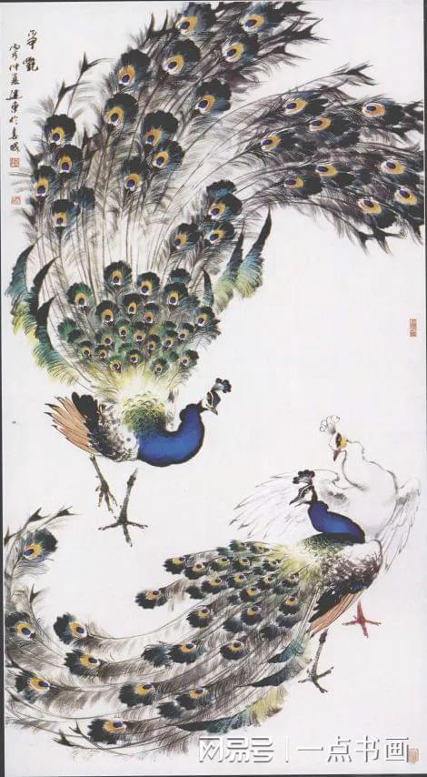 写意孔雀画法讲解|袁晓岑|蓝孔雀|白孔雀_网易订阅