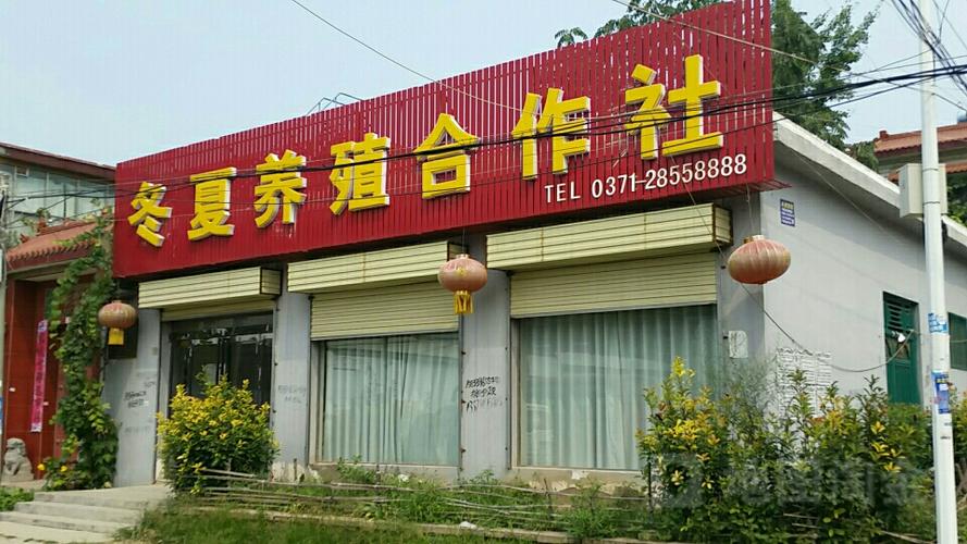 冬夏养殖合作社
