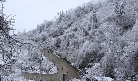 都江堰赵公山徒步一日游 纯玩线路