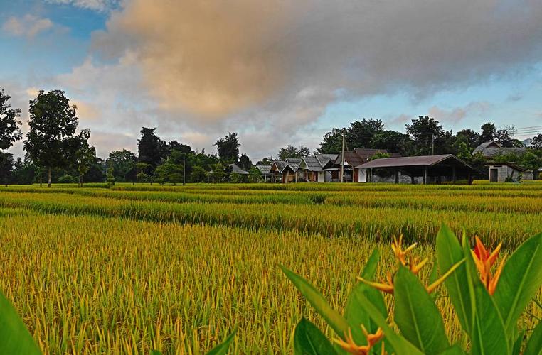 泰国游记:住进拜县童话般的乡村酒店!