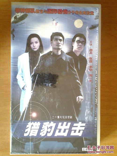 vcd:20集电视连续剧——猎豹出击 【邵兵 李郁 海一天