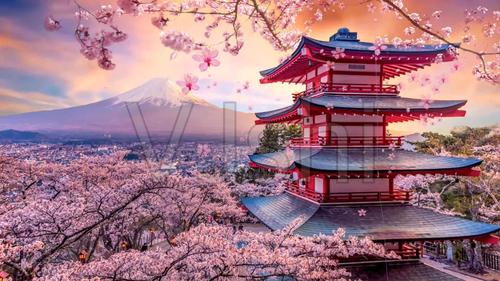 唯美樱花富士山_1920x1080_高清视频素材下载(编号:)