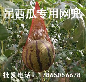 大棚吊西瓜网眼袋哈密瓜水果塑料网兜有扎口绳吊瓜厂家批发包邮