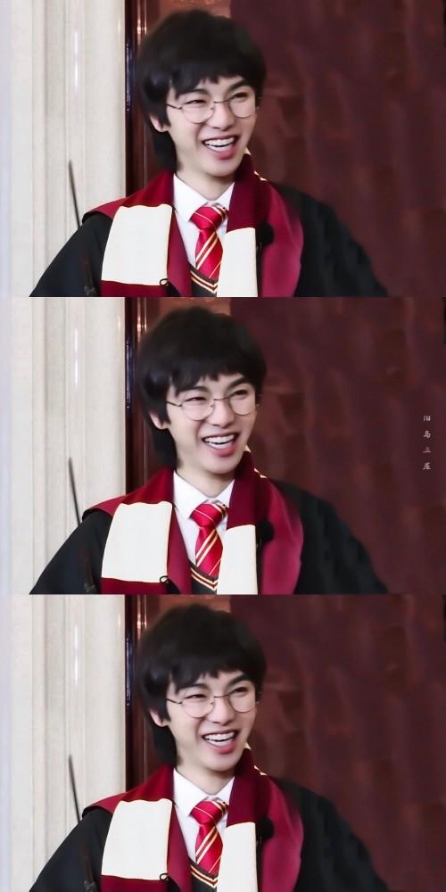 华晨宇‖哈利波特花