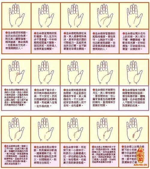 男手掌生命线图解