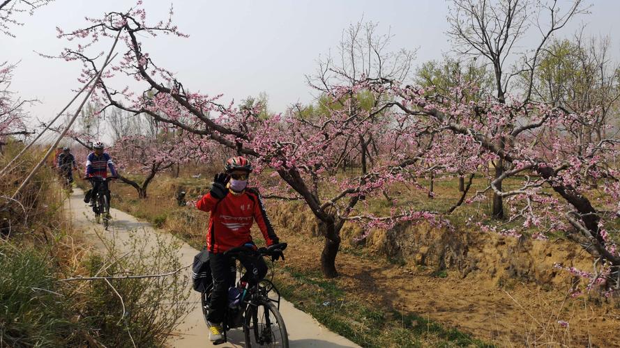 骑行伊祁山赏桃花