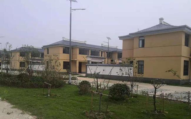 长丰县杜集镇:加强自然资源管理 助力乡村振兴