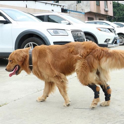 厂家直销宠物护腿狗狗固定腿套手术受伤防脏防尿防舔关节绑带