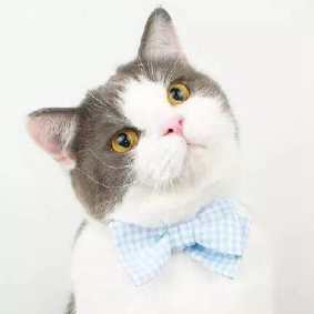 唯美个性女生微信头像qq唯美可爱动漫头像标签:卡通头像(113)(33)