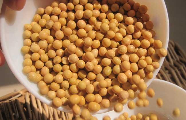 豌豆黄豆蚕豆的区别