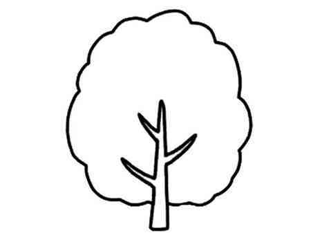 简笔画树托两个头