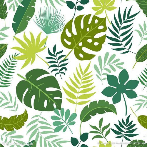 热带雨林绿色植物叶子简笔画