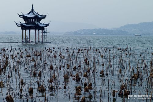 标题:杭洲西湖的雪
