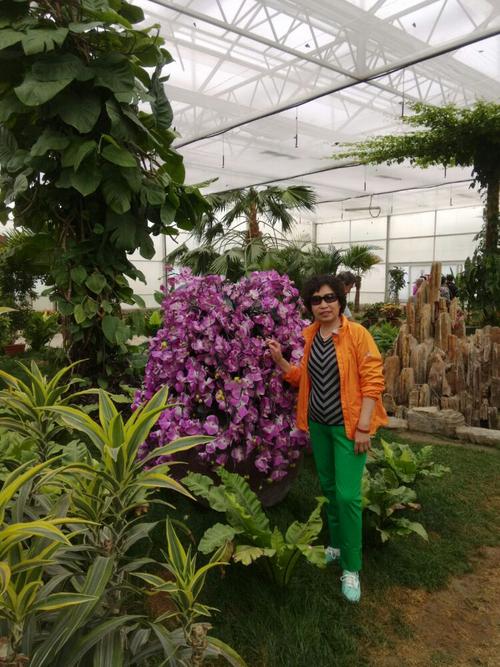 看看我照的美不美(顺义鲜花港,蝴蝶园)留影