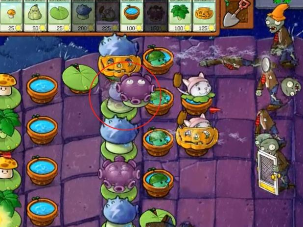 植物大战僵尸:被隐藏起来的神秘植物,雷霆菇,水盆你都