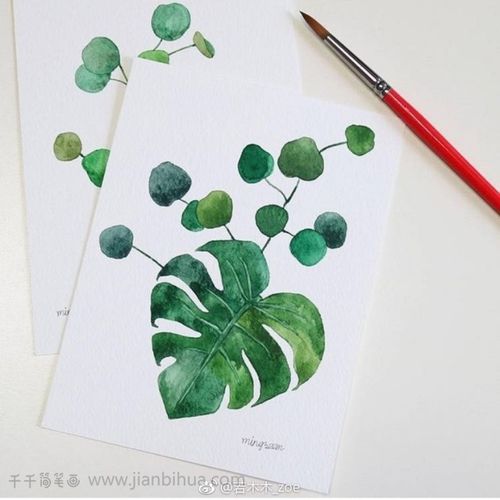 一组叶子水彩画_水彩画简笔画