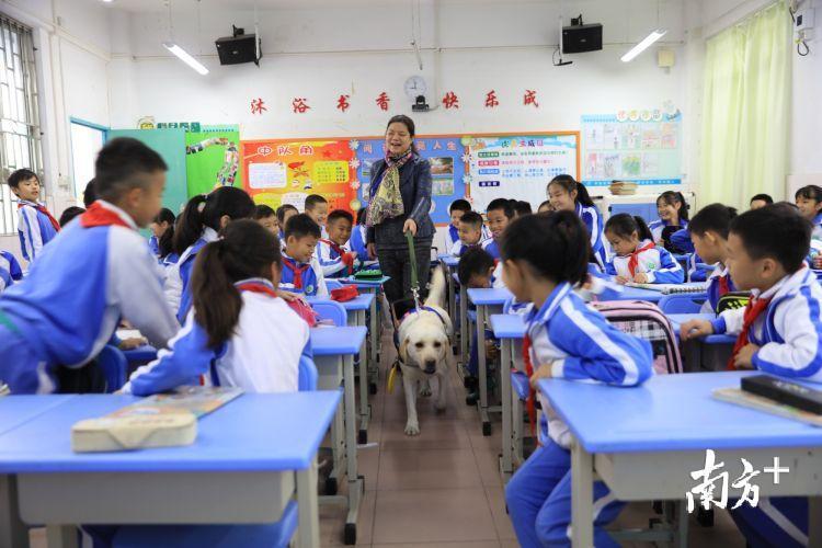 这个嘉宾太萌了!深圳市德兴小学开展无障碍文化培育活动