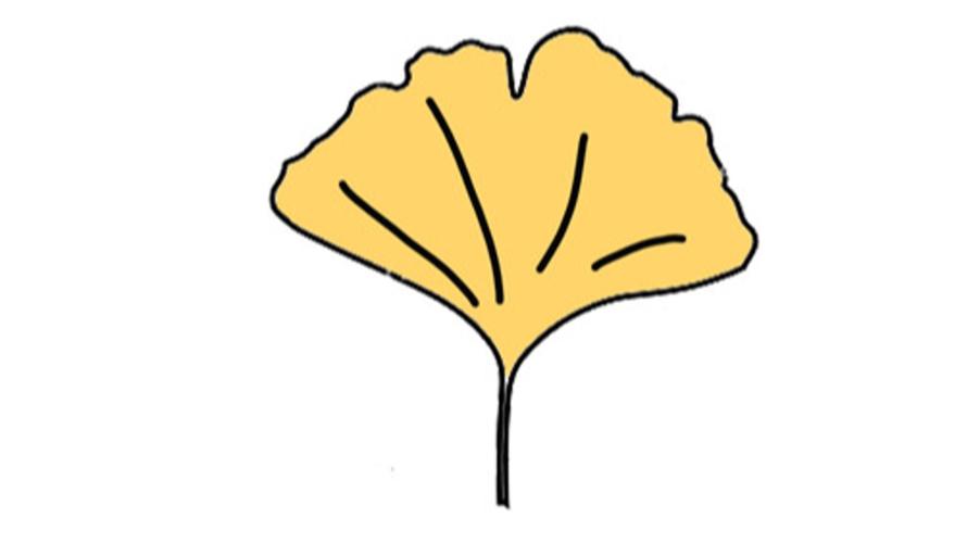 长期服银杏叶片的好处是什么