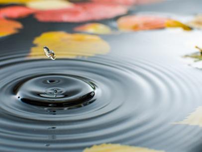 一直听说"上善若水",原来是这个意思