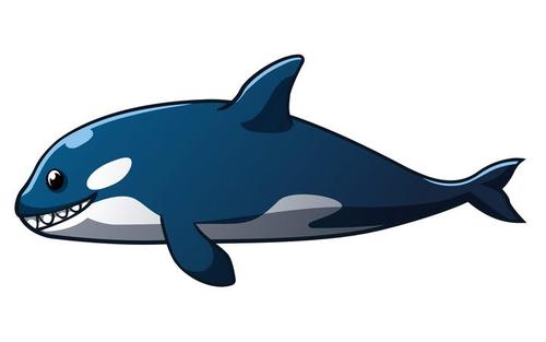 可爱卡通风格的虎鲸|eps