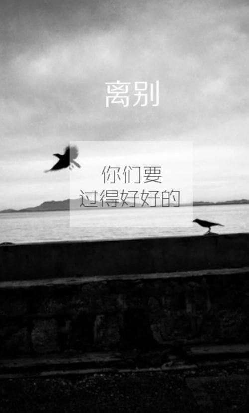 【匆匆那年-毕业季】伤感 离别 怀念 学生 校园 清新 文艺 美好 青春