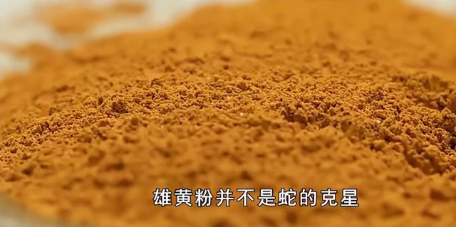 2018年陕西女孩被咬2小时就死亡|毒液|蛇毒|抗蛇毒血清_网易订阅