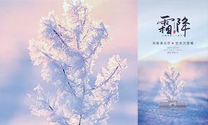 霜降图片_霜降图片素材大全_大图网