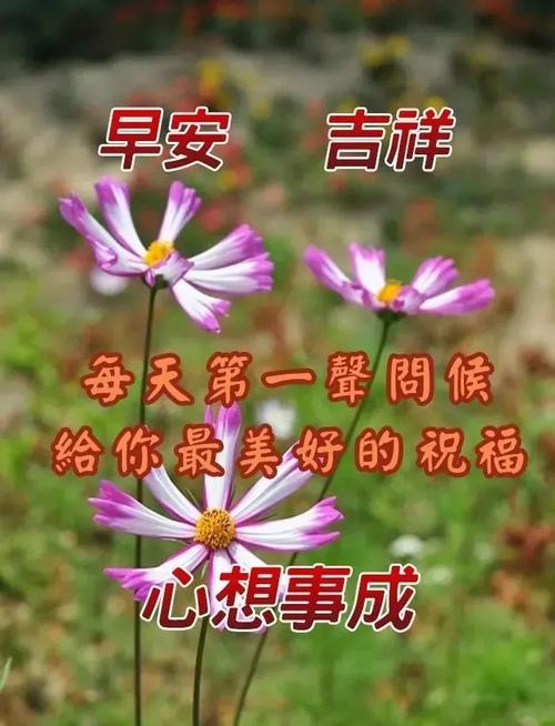 原创2021新版早晨问候祝福图片带字温馨最美早安问候语暖心句子