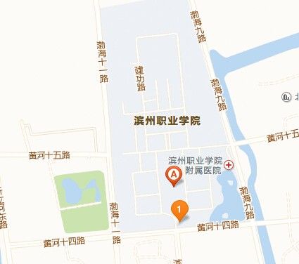 滨州职业学院和滨州医学院是一回事吗