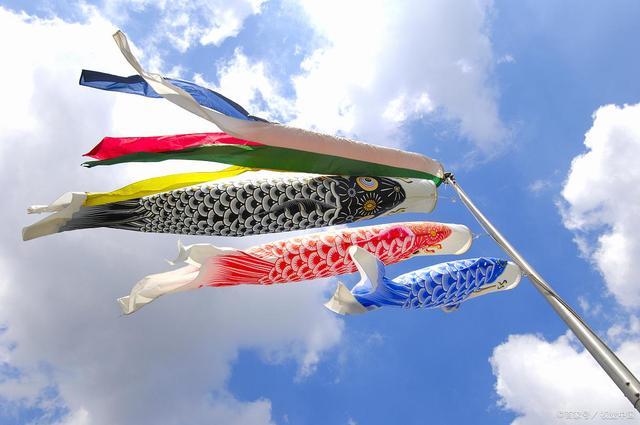 日本的5月, 初夏季节,抬头看到飘扬的鲤鱼旗,哦~已经到了 5月啦.