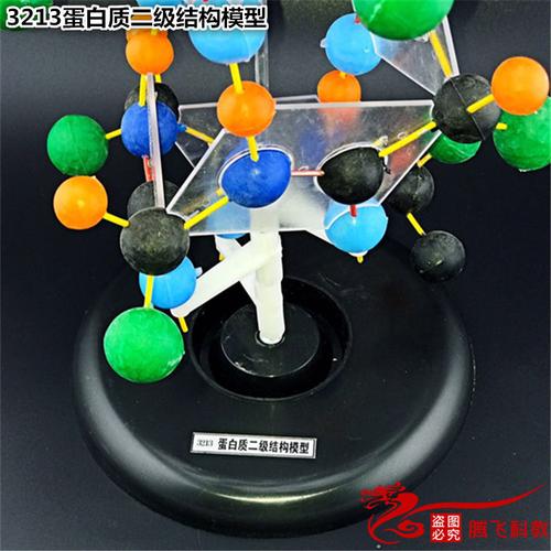 教学仪器 蛋白质二级结构模型 球棍式 初中生物实验器材 生物模型