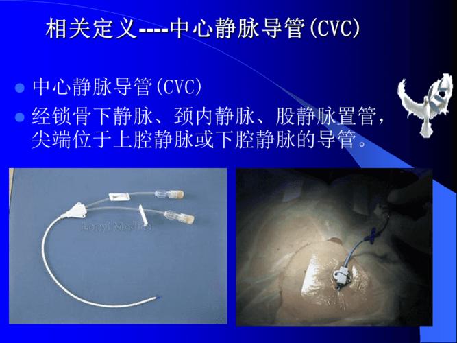 中心静脉置管维护ppt课件