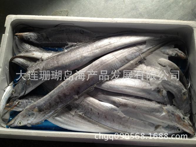 优质渤海湾带鱼(渤海湾刀鱼)