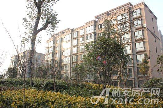 濉溪县闸河东路与二关路交汇处搜索结果二:御溪美景同时,山水文园项目